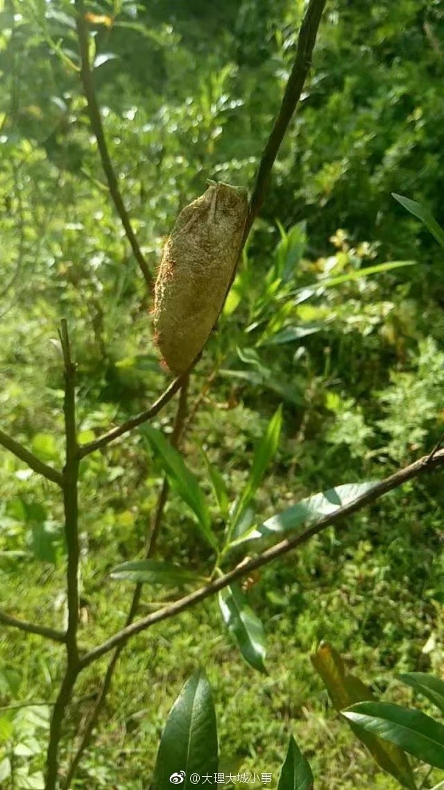 黄色片欧美3B