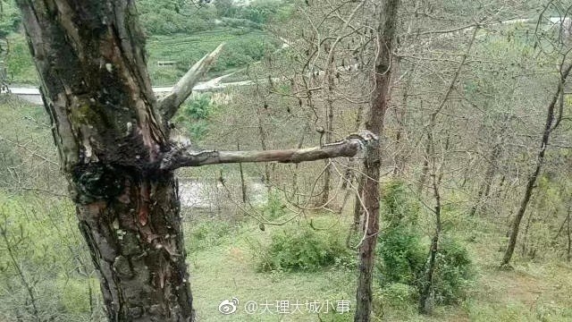 公交车大肉大捧一进一出好爽