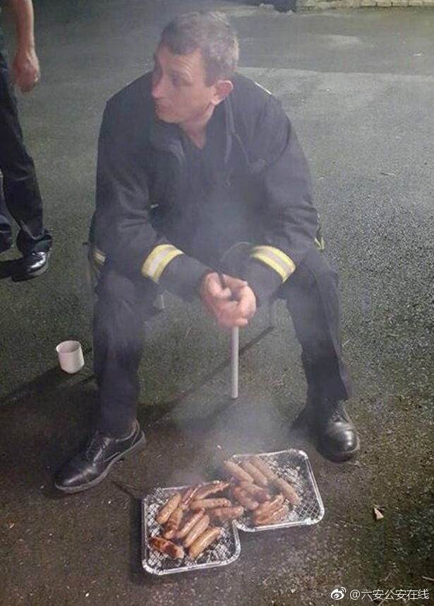 成人 在线 视频 网