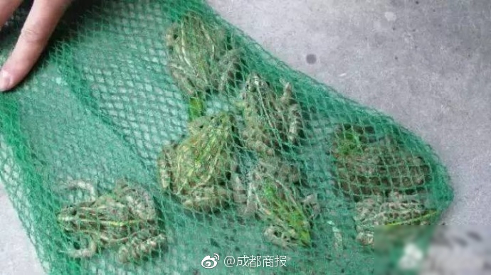 18一20岁一级一片
