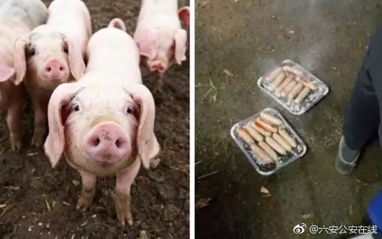 程迷