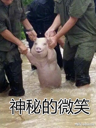 真人泡妞APP免费直播