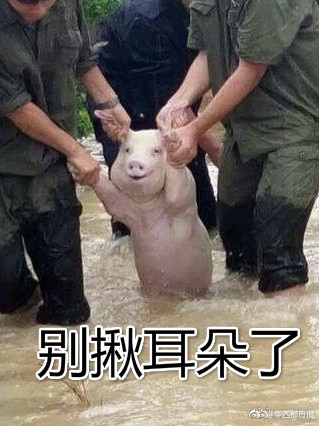 甘雨裸体被 扒开腿羞羞
