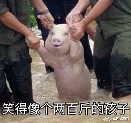 大乱交你懂的