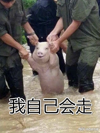 外国 成人 视频