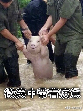 日老色情