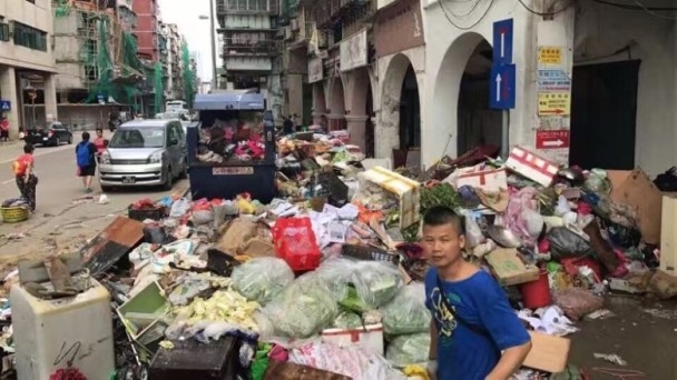 刘涛和范冰冰和杨幂与林心如