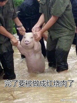 囯产精品久久久久久久免牛肉蒲团
