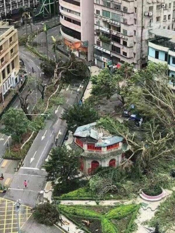 花儿直播