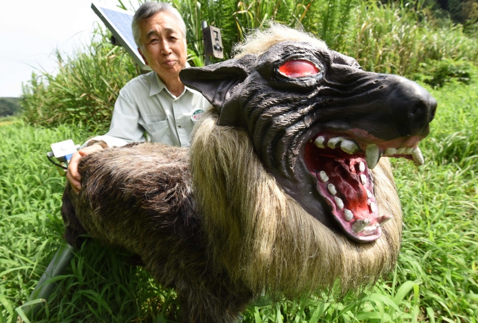 羽川翼