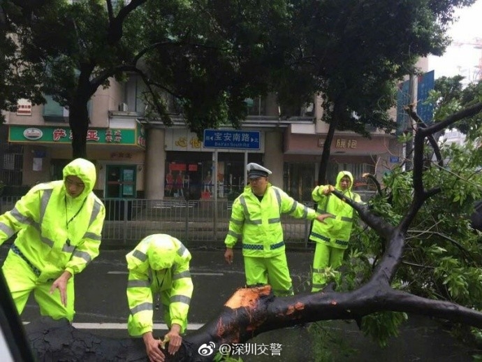 台湾三级片啤酒女郎