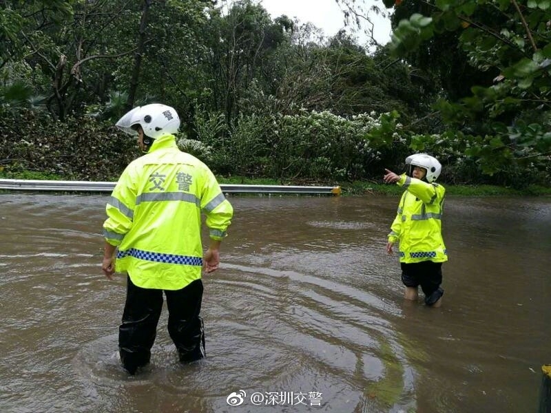 麻豆91精品91久久久的内涵