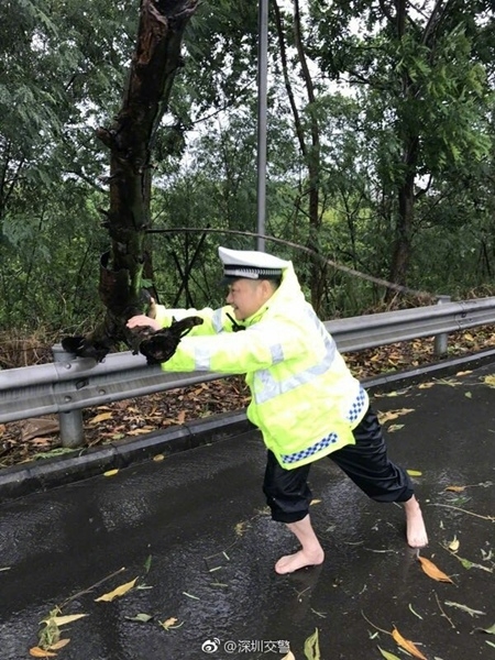 波多野结衣被操