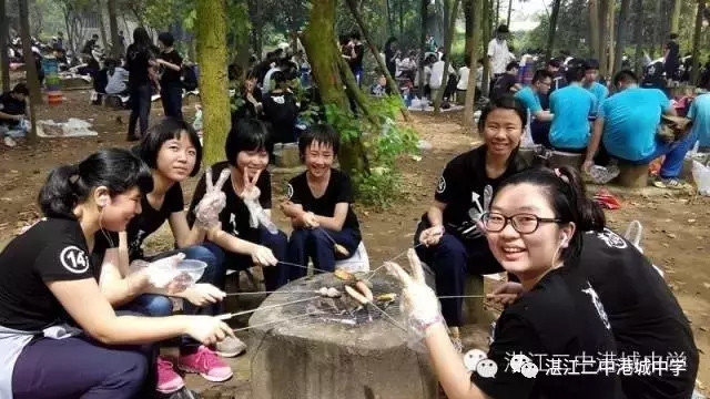 Description哑剧猫免费