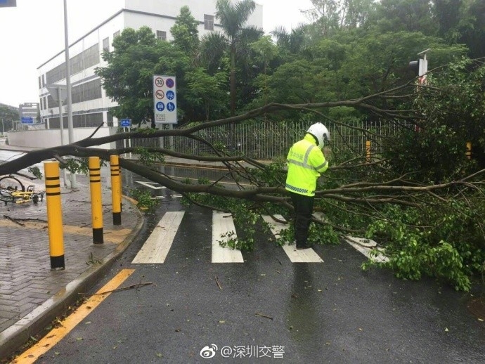 狐妖