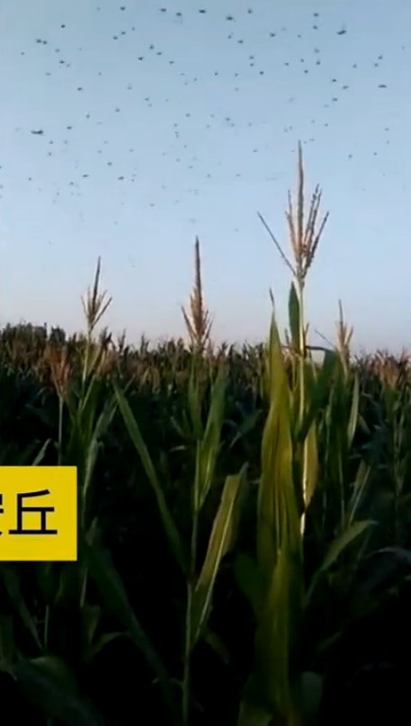 肉丝美足丝袜一区二区三区四
