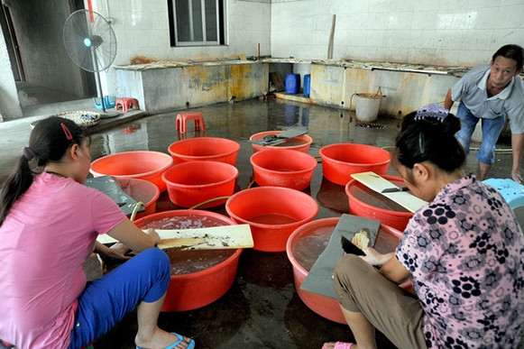 夫妻污视屏黄片