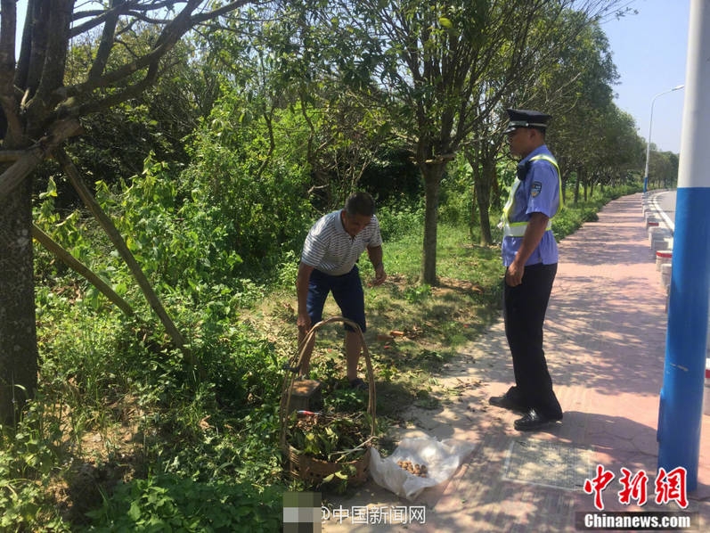 女公安局长被戴乳环的后果