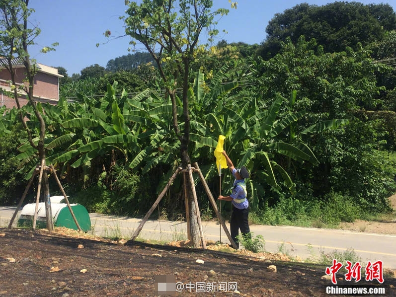 鄰居家哥哥