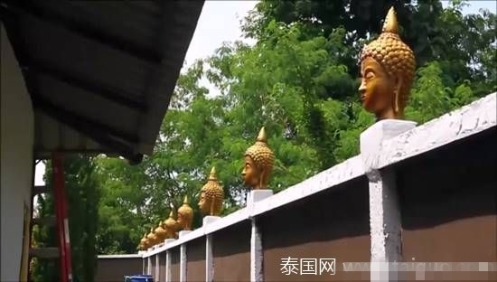 舒淇45分钟免费毛片