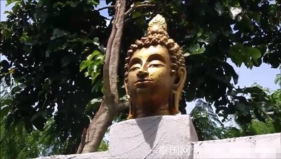 黄色小说在现免费观看网站