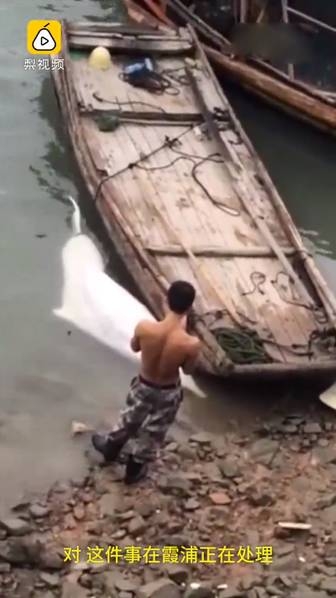 免费看黄色影视直播