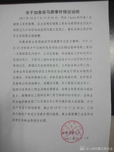 成人毛片   -