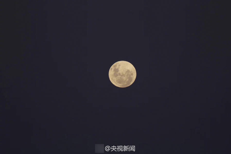飛機杯盲測林郁翔