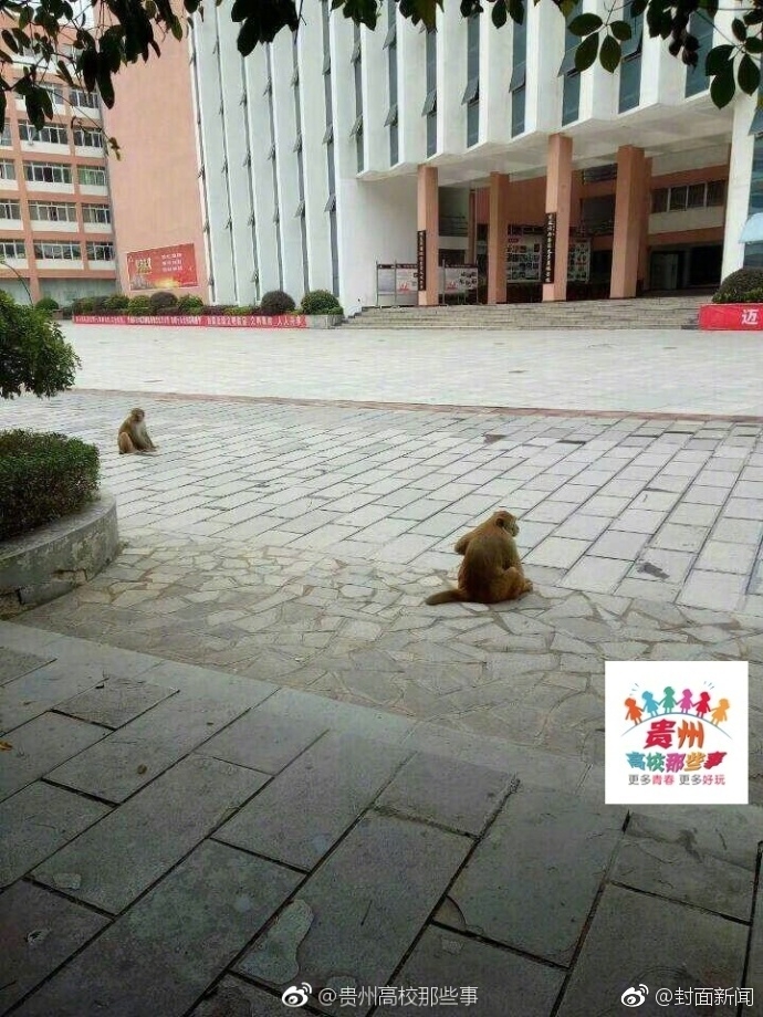 成人视频