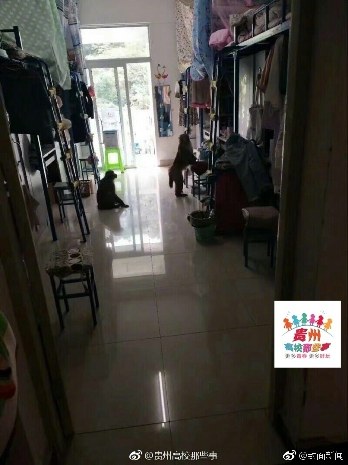 男Ji大巴进入女人的久
