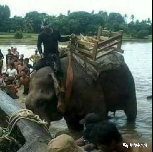 欧美一级a