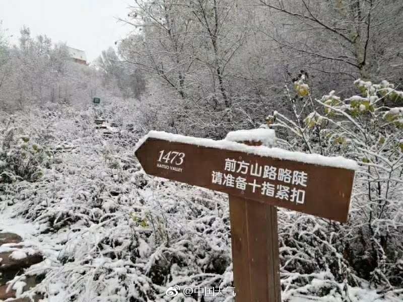 大尺度吻胸吻奶头揉捏奶电影