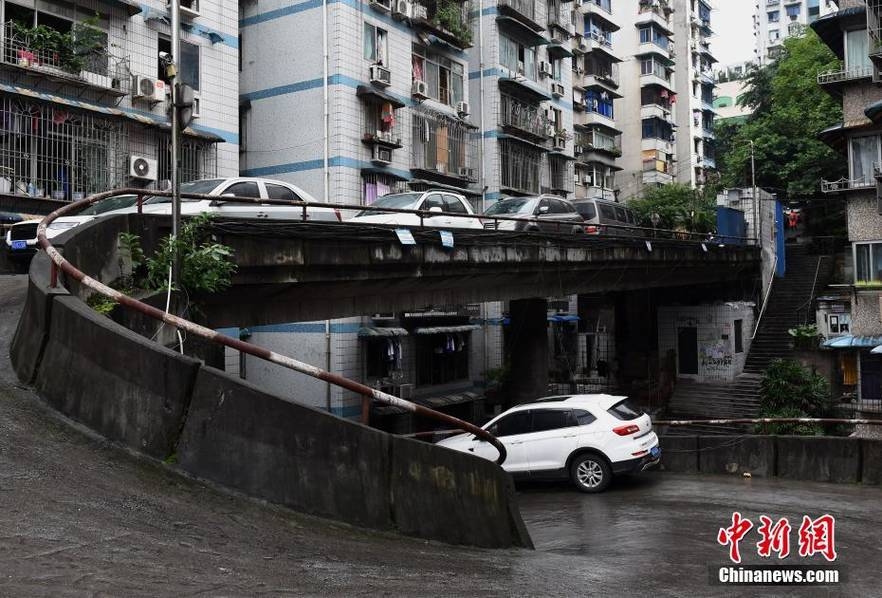 秋霞鲁丝