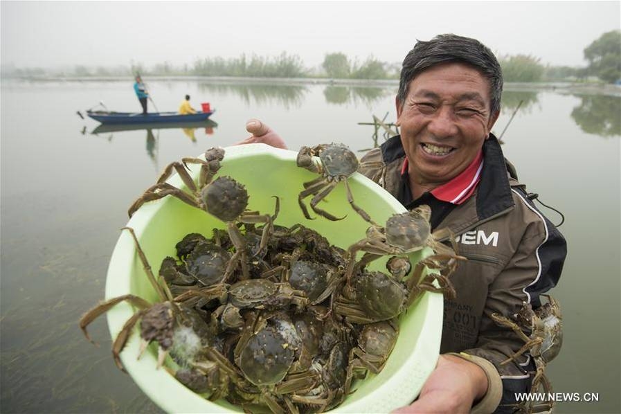 黄黄的动漫App下载链接