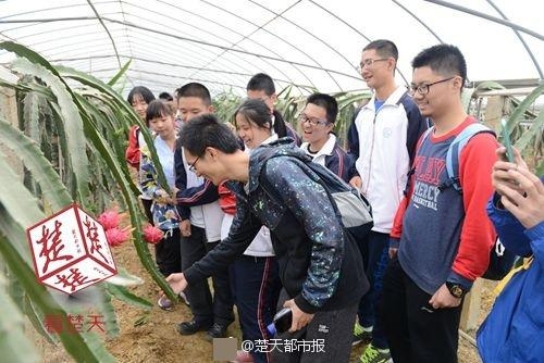 葵司無碼