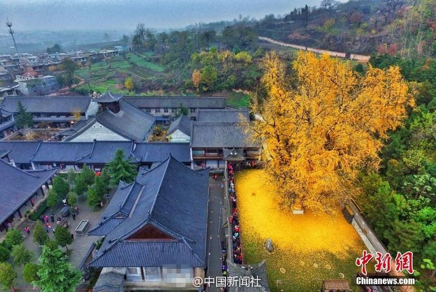 吴梦梦