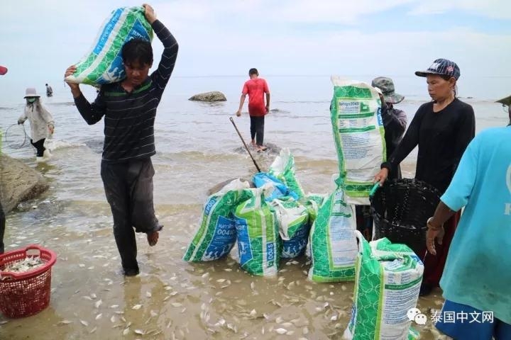 一区夫妻黄色网站