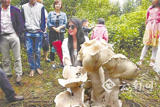 丰满多毛的大隂唇特写