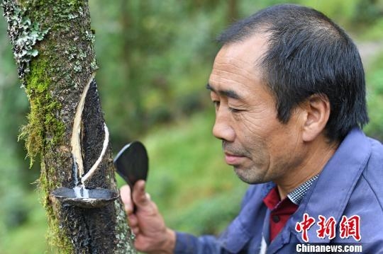 国产老头乱叫456mov