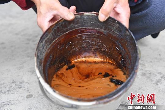 福利视频一区