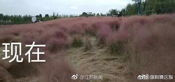 Free China Xxxxhdvideo