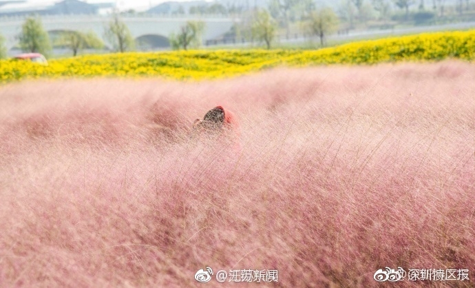 午夜理论电影