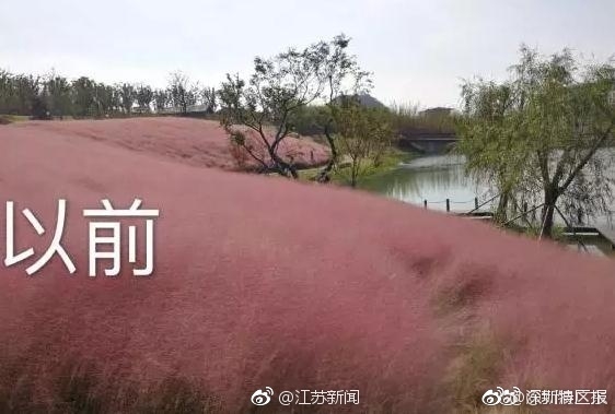 黄色三级A级片