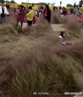无码毛片无遮挡免费