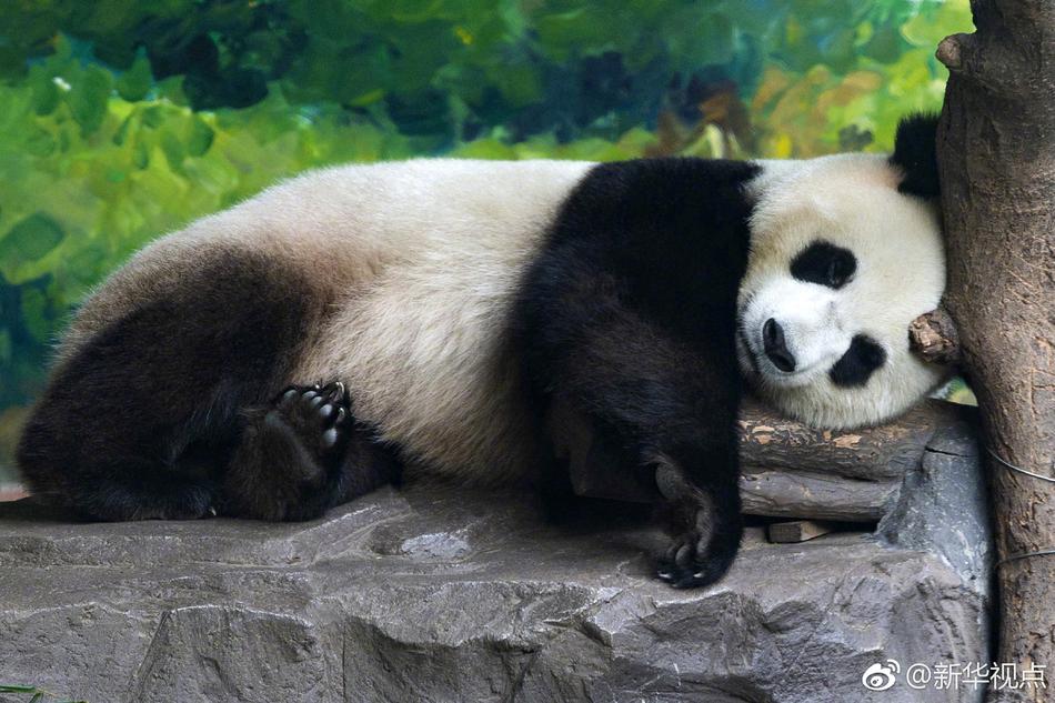 赶尸艳谭