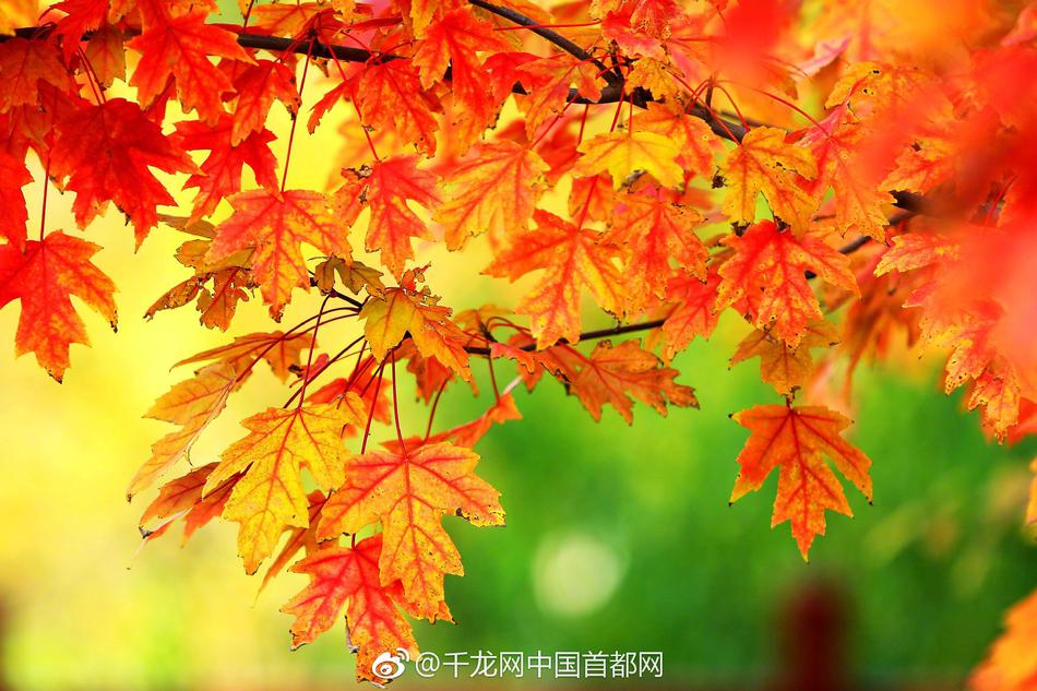 www.毛片