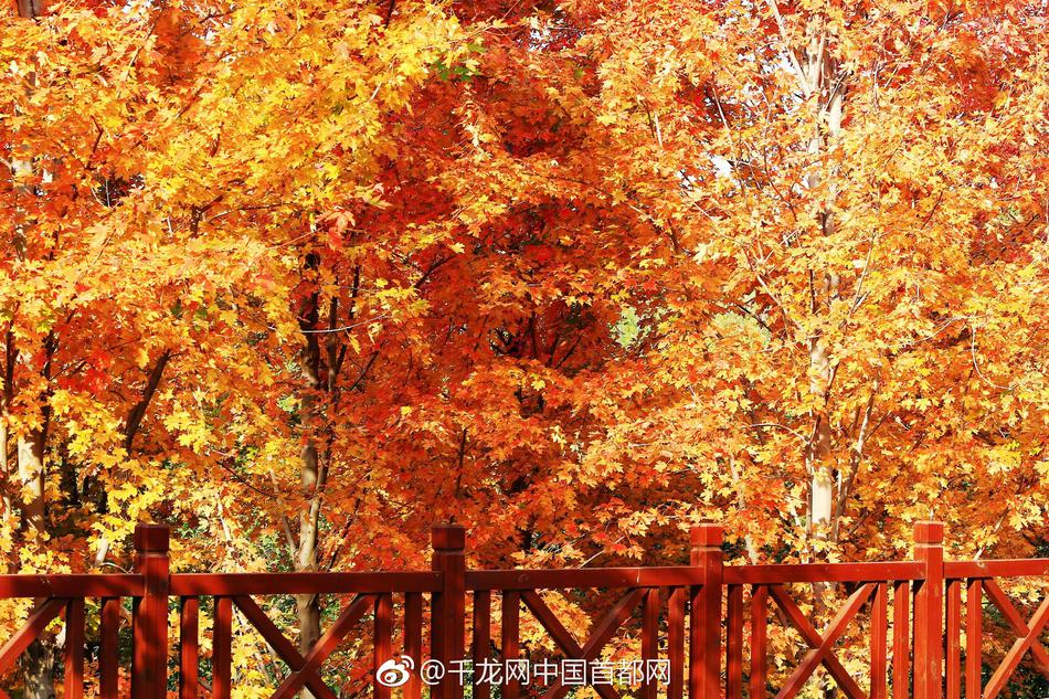 范冰冰一二三区毛片影库