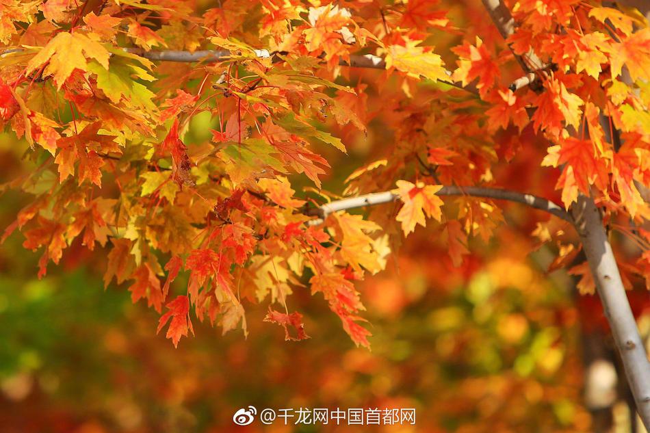 午夜羞羞
