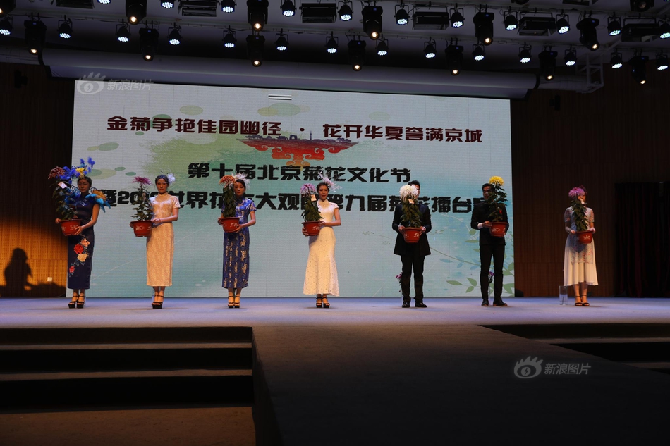 欧美mv日韩mv国产网站