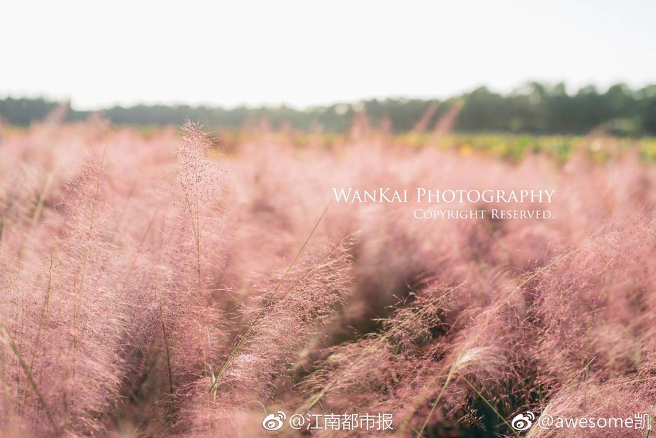 欧美喷水高潮